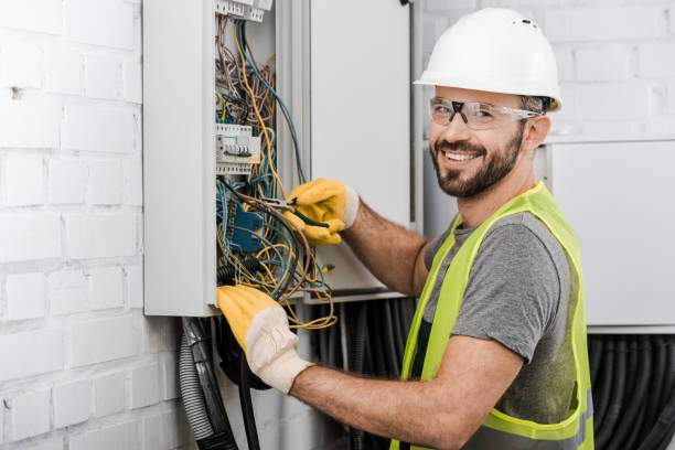 Best Electric Panel Repair  in Freemansburg, PA